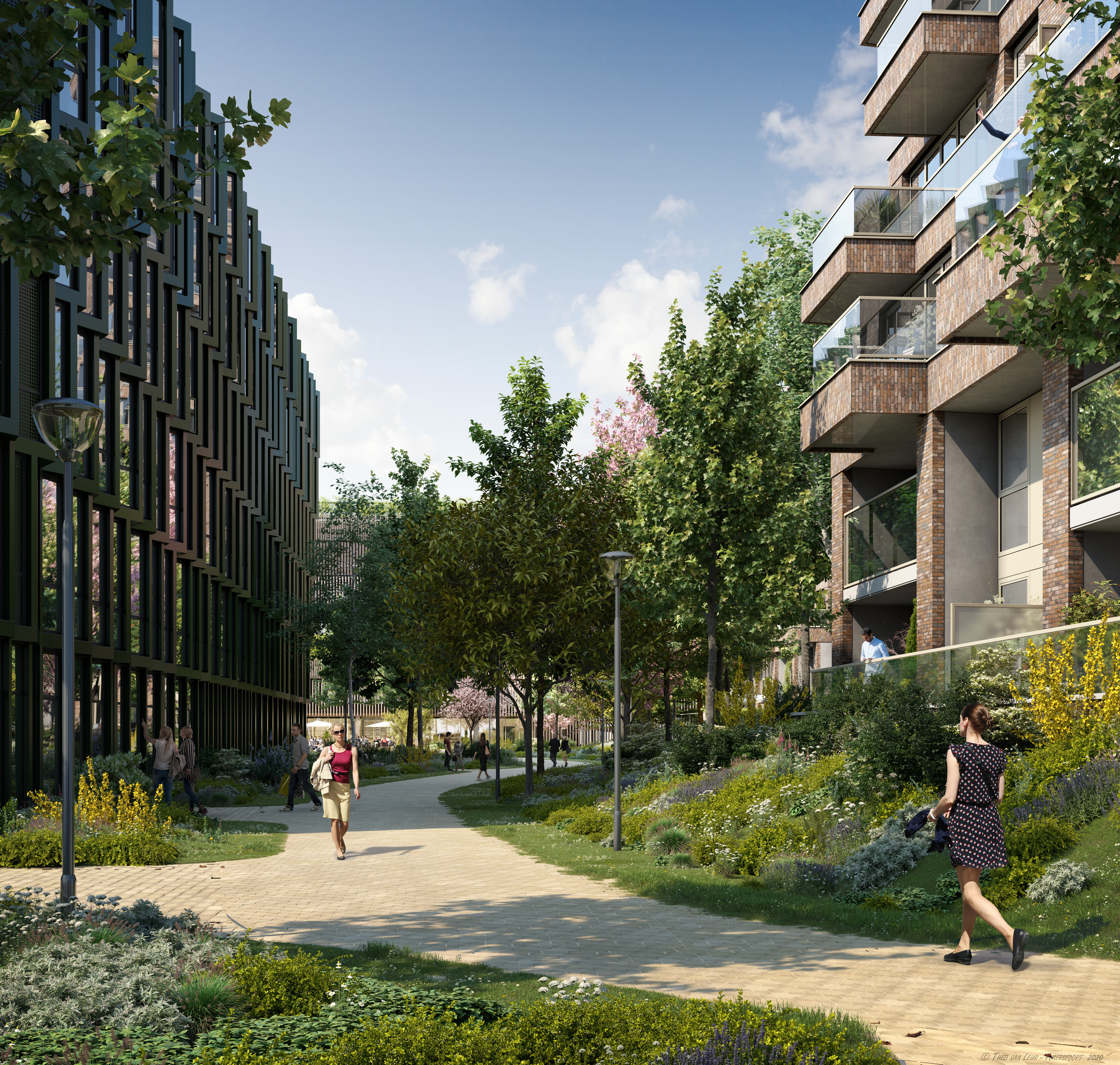 STAD TUSSEN DE BOMEN